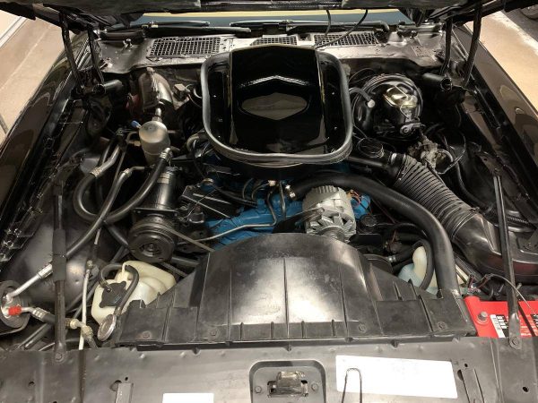 68568415-770-0@2X 1978 Pontiac Trans Am