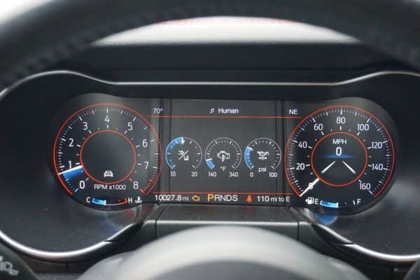 IMG_382923_ (21) 2019 Ford Mustang GT Premium