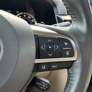 IMG_383920_ (47) 2019 Lexus LX 570