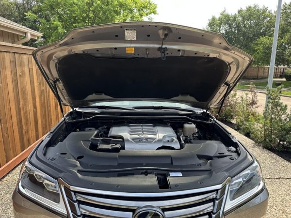 IMG_383920_ (73) 2019 Lexus LX 570