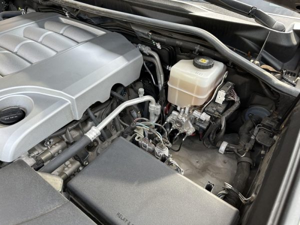 IMG_383920_ (75) 2019 Lexus LX 570