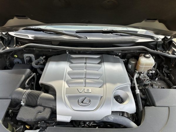 IMG_383920_ (77) 2019 Lexus LX 570