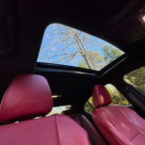 374BbYBp-O5VE6iBGah 2023 Lexus IS 500 Premium