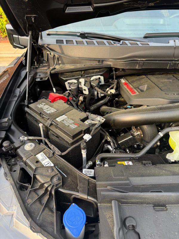 3okxgGng-kXWvyPN 2024 Ford F-150 Raptor