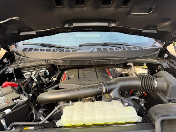 3okxgGng-wl8sUzW 2024 Ford F-150 Raptor