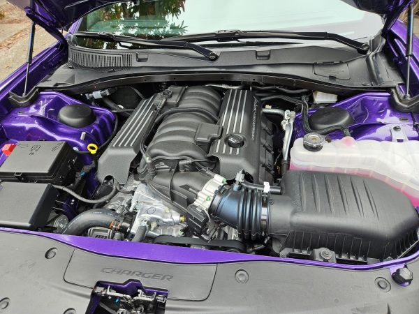 KmY2Pvym-gEkpakklFN 2023 Dodge Charger Scat Pack Widebody Super Bee